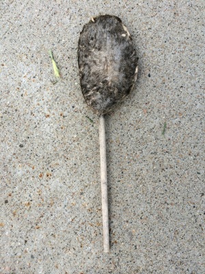 unidentifiable on a stick