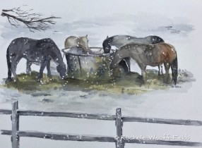 Horses in Winter ©